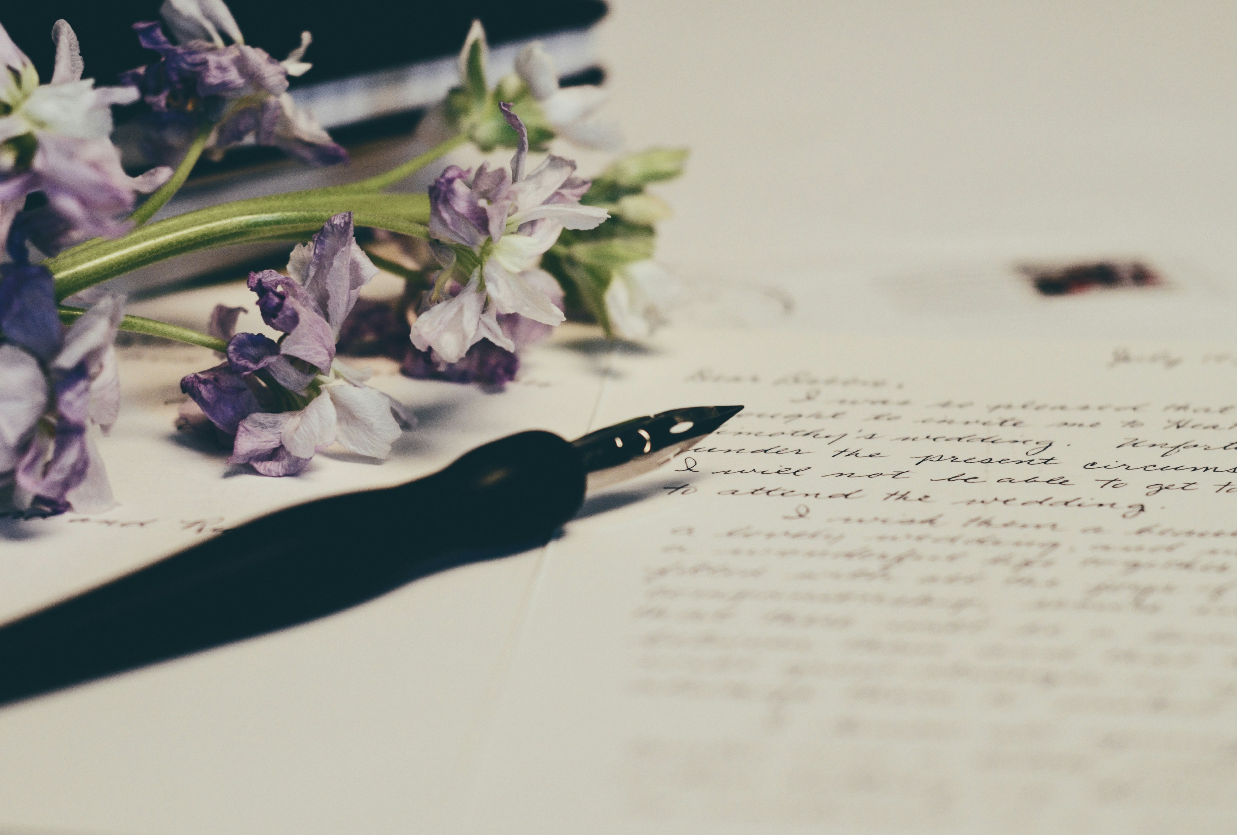 Haritha’s Poetry Collection