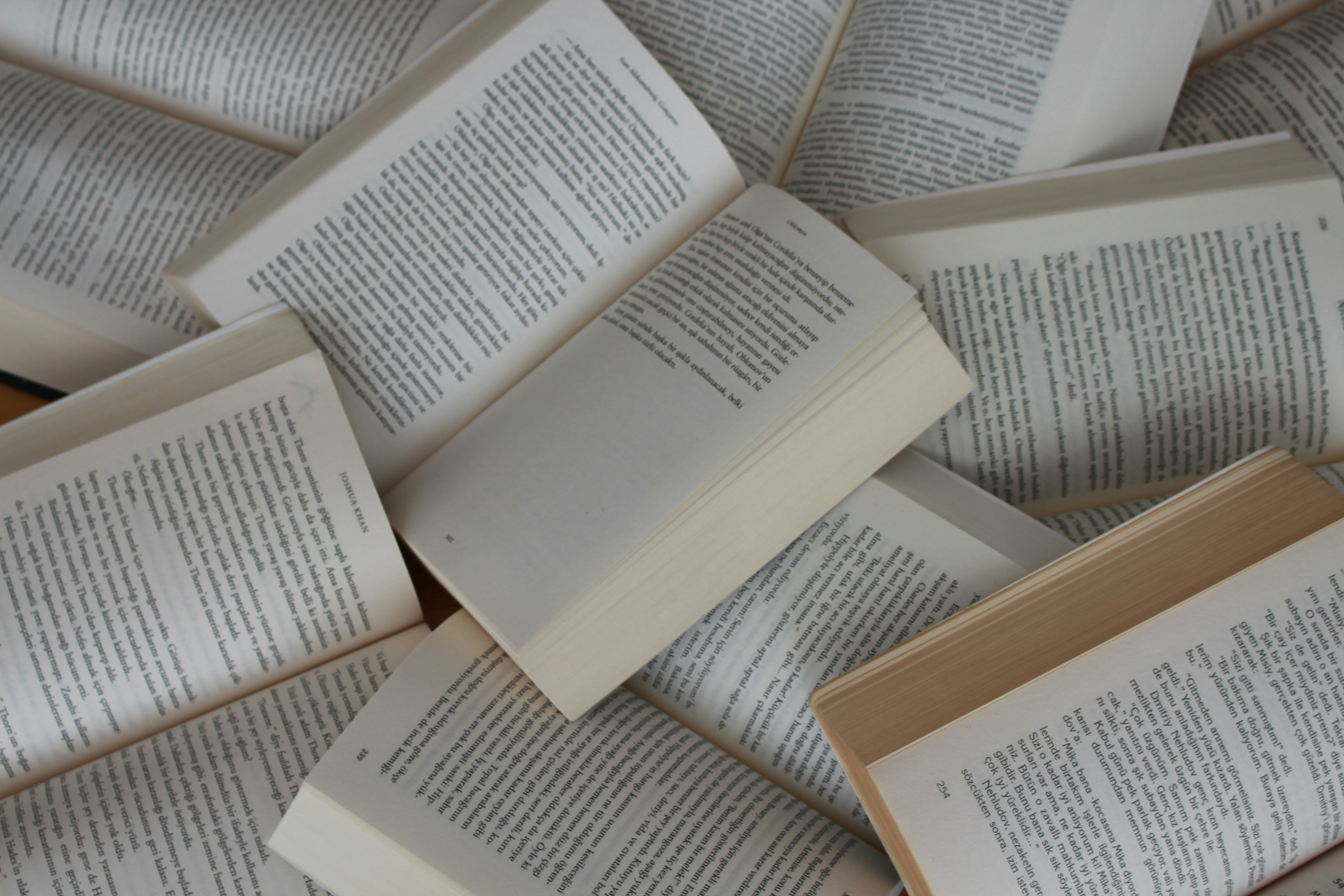 Prose/Novel Excerpts