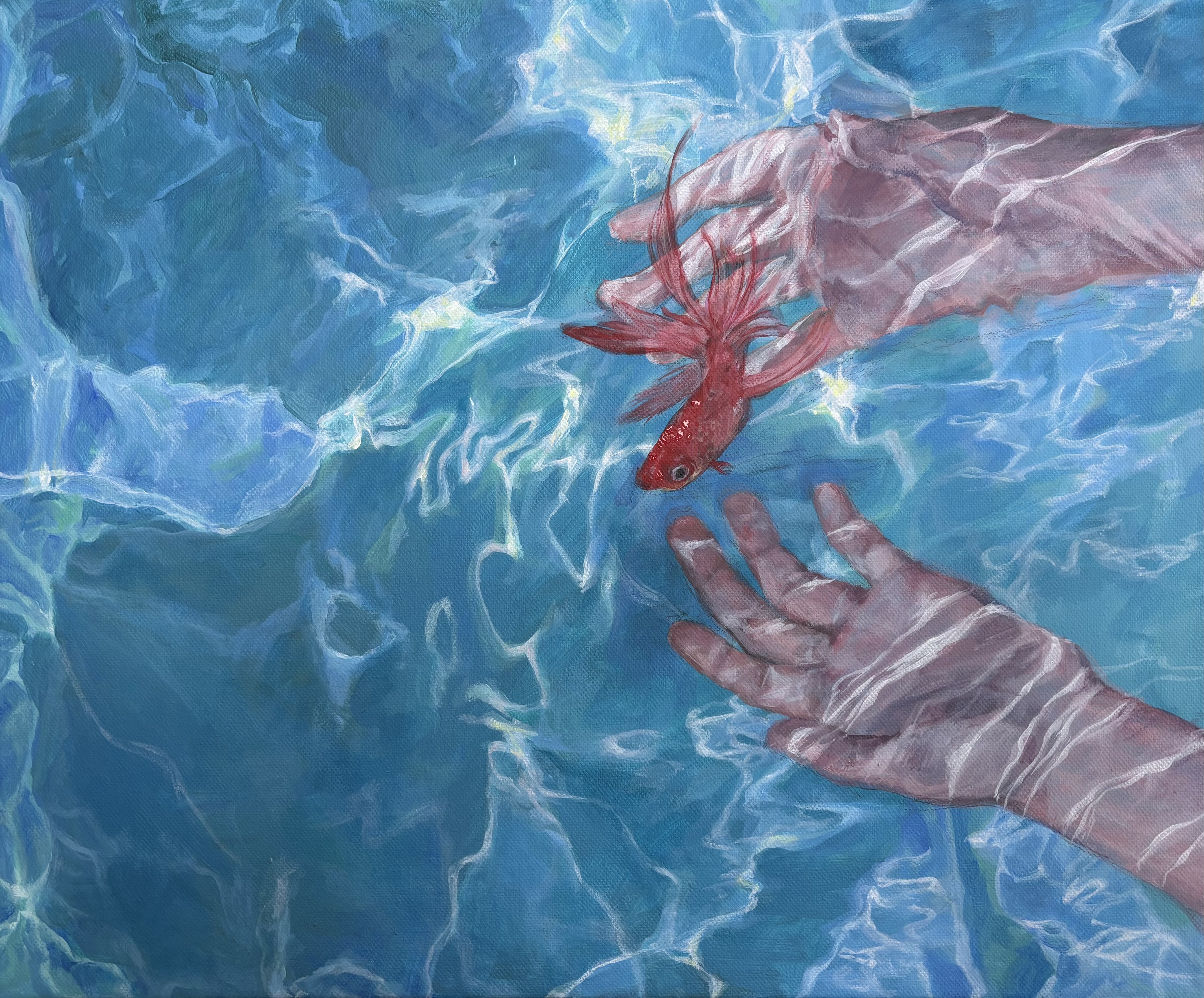 Human connection with marine life